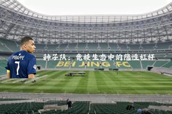 种子队：竞技生态中的隐性杠杆